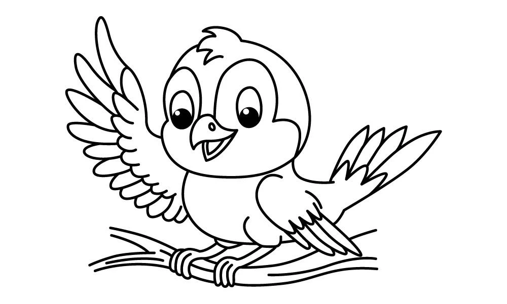 Bird drawing page for kids