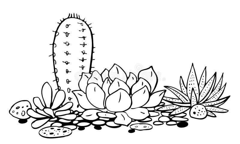 Cactus coloring page