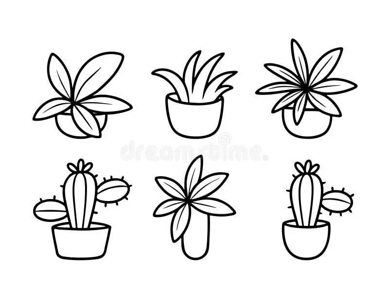 Cactus drawing page for kids