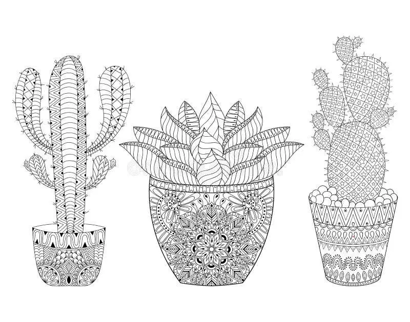 Cute Cactus color page for kids