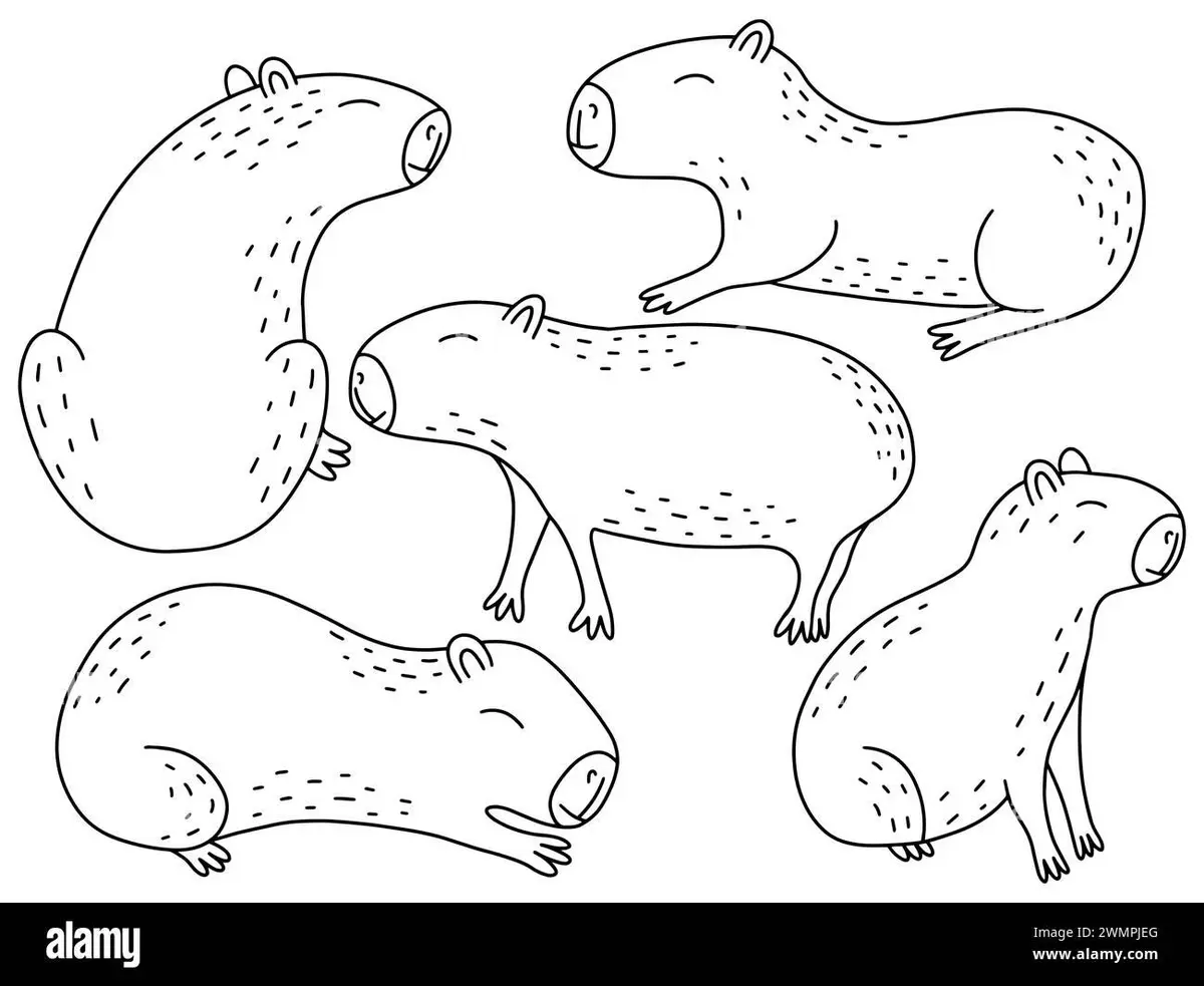 Free Capybara coloring sheet for kids