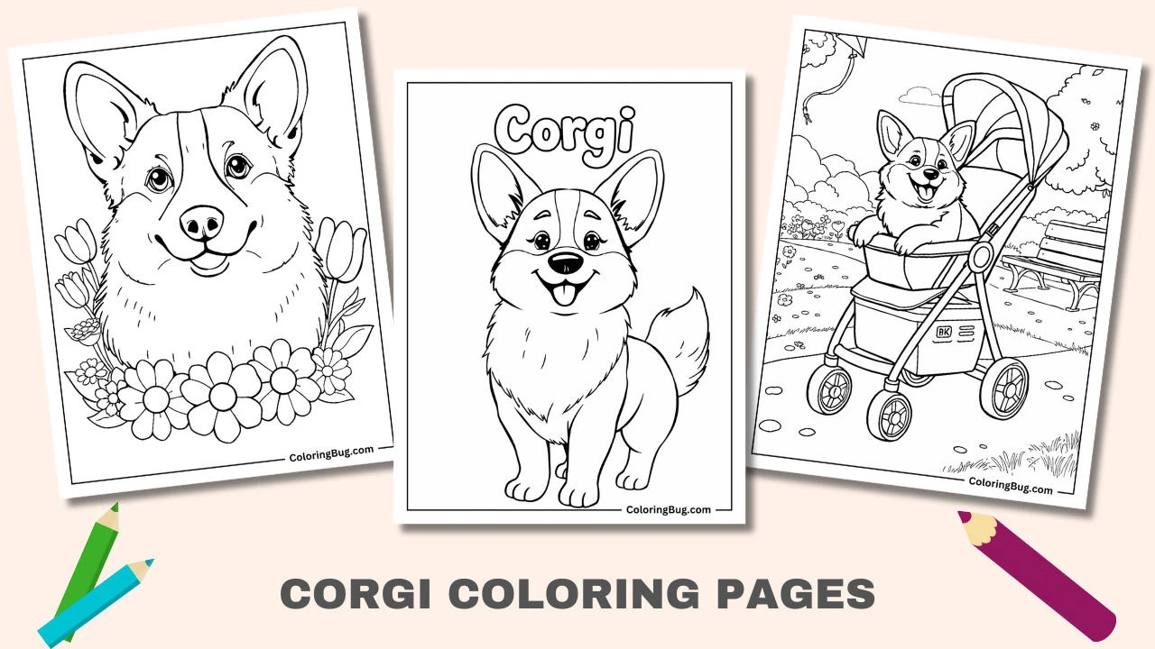 Corgi coloring pages printable for kids