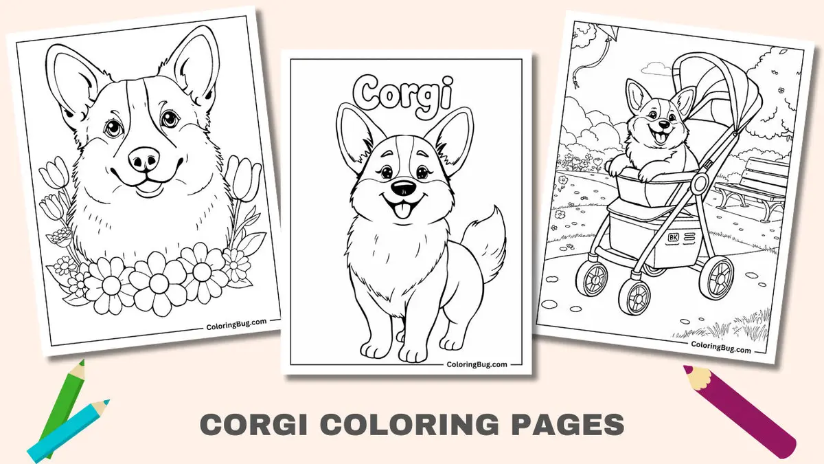 Corgi drawing page for kids