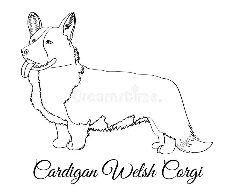 Cute Corgi color page for kids