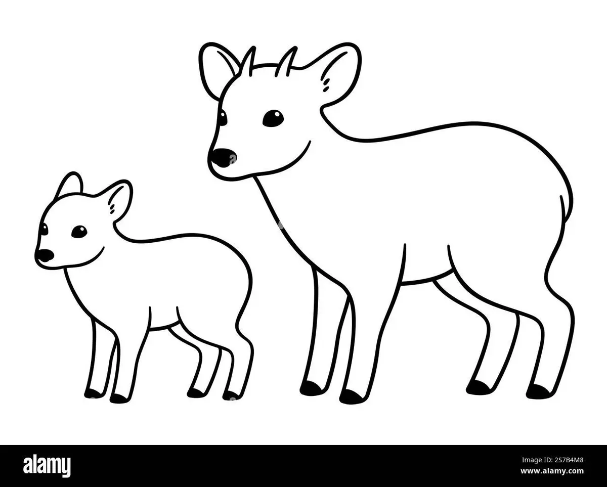 Cute Deer color page for kids
