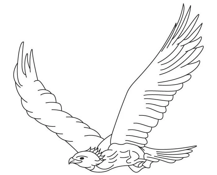 Free Eagle coloring sheet for kids