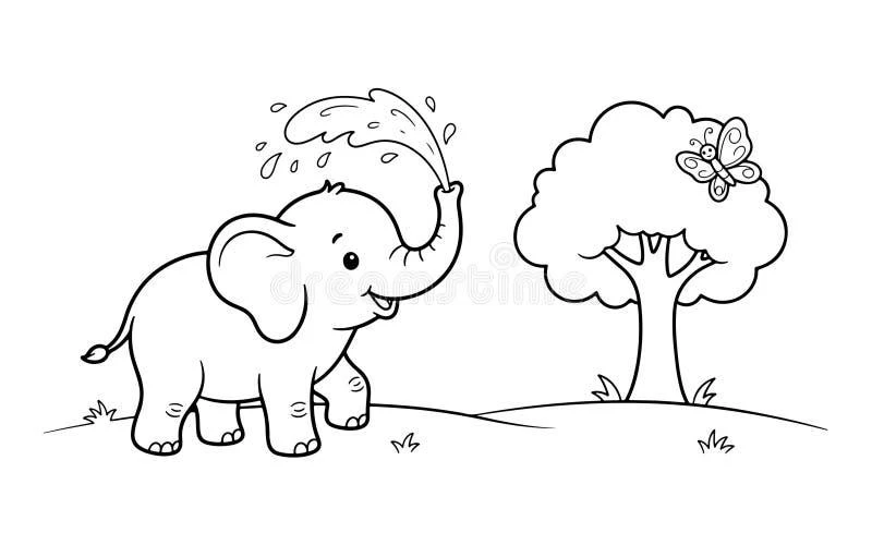 Elephant coloring pages