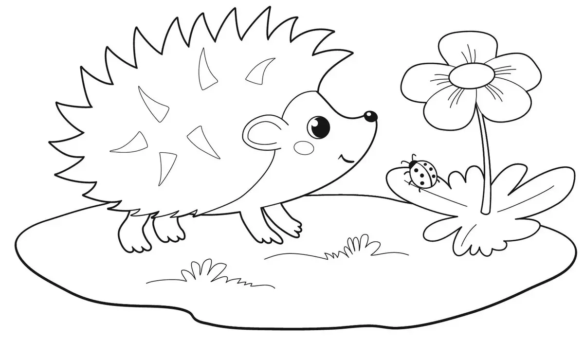 Hedgehog coloring pages