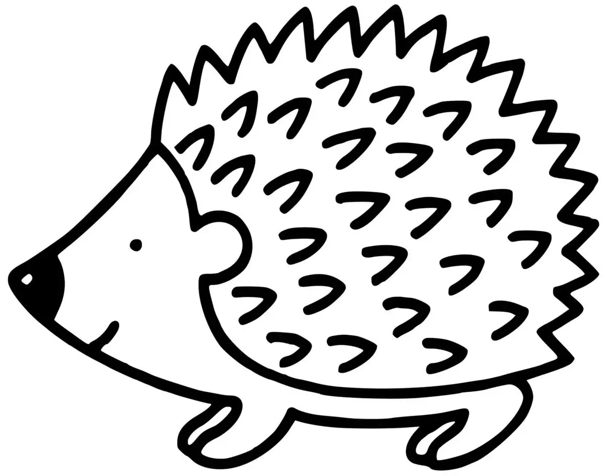 Hedgehog drawing page for kids