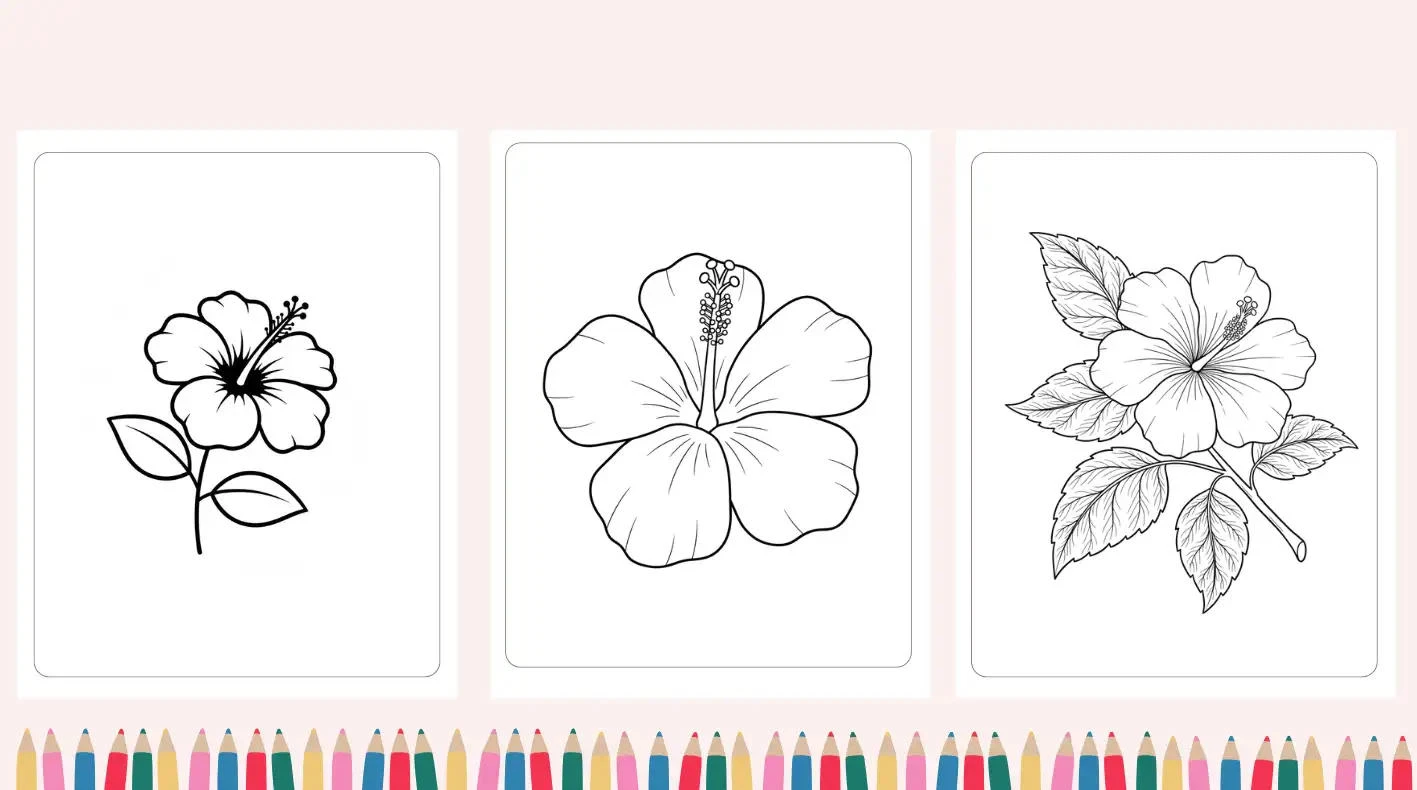 Hibiscus coloring pages