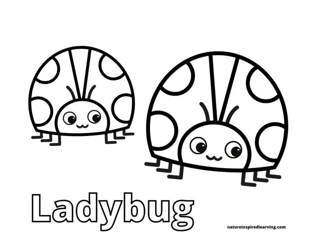 Ladybug coloring pages