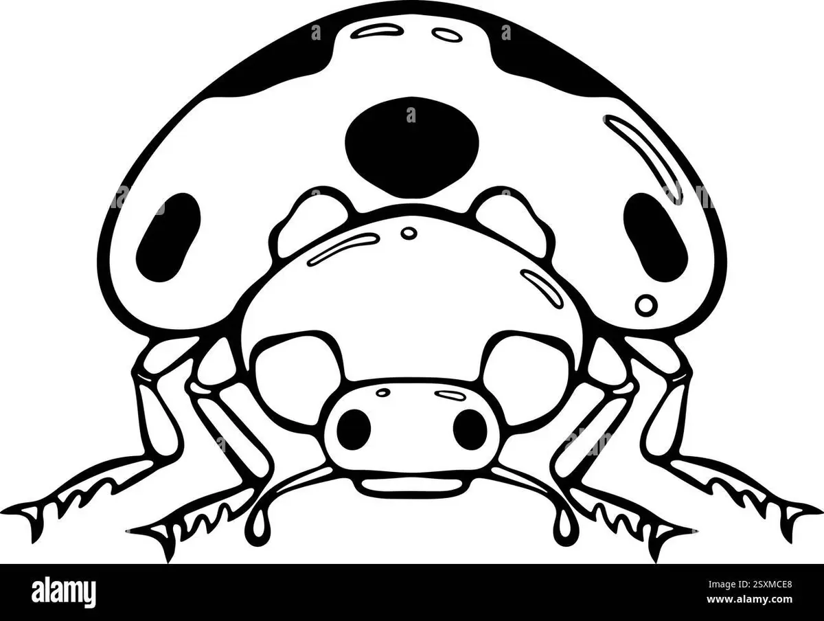 Ladybug coloring pages printable for kids