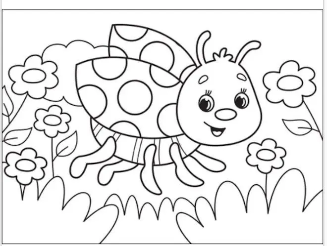 Ladybug drawing page for kids