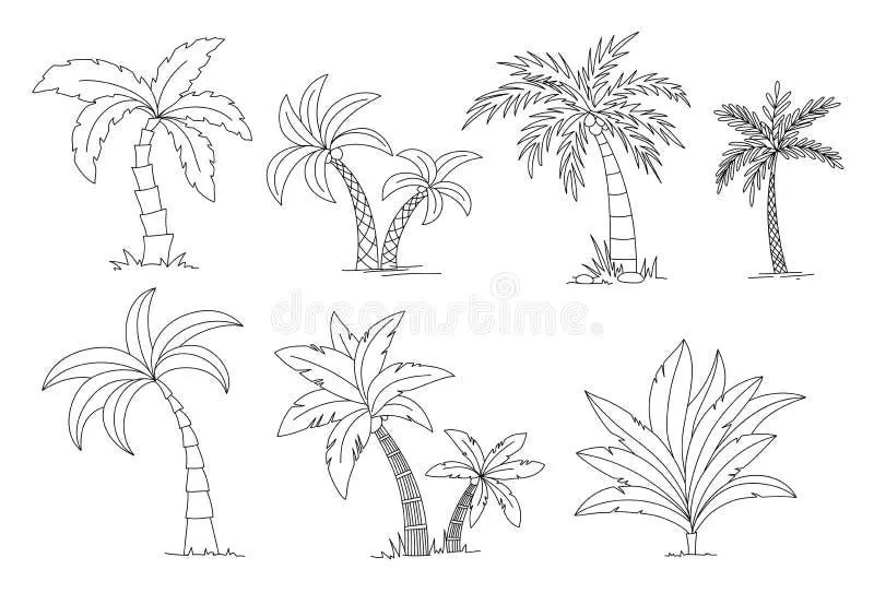 Cute Palm Tree color page for kids