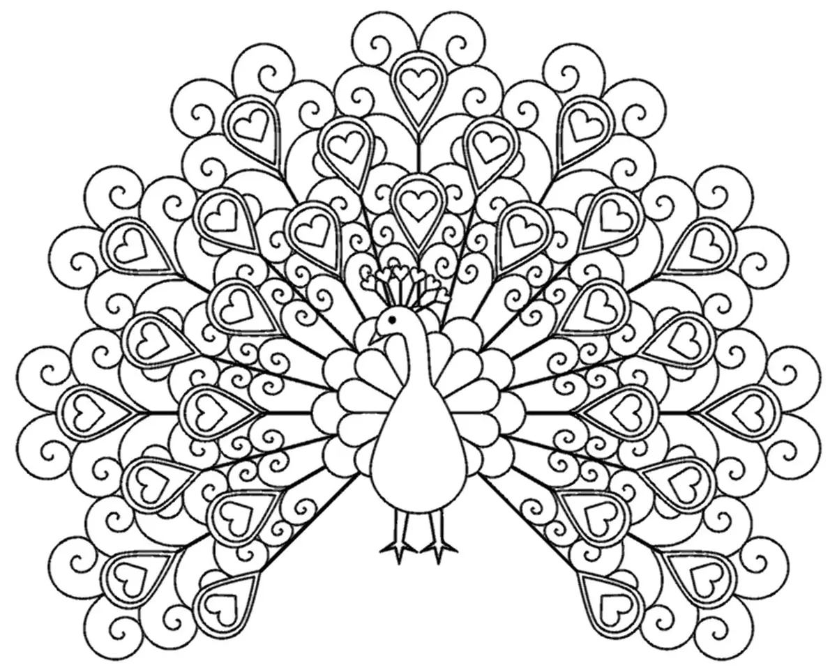 Peacock coloring pages