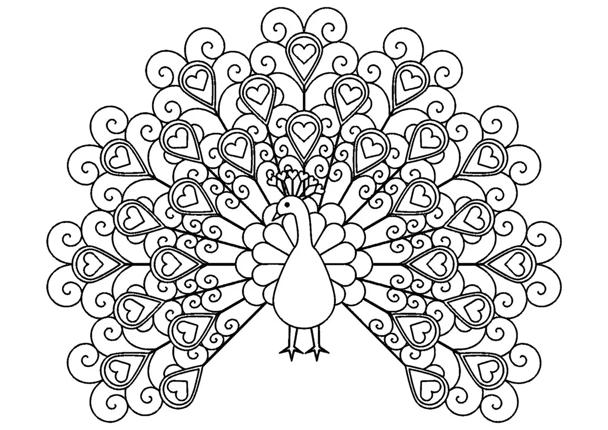 Cute Peacock color page for kids