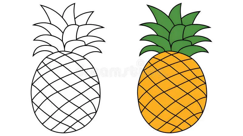Pineapple coloring pages