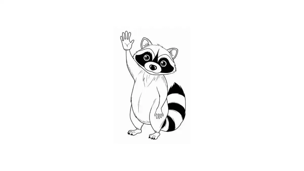 Raccoon drawing page for kids