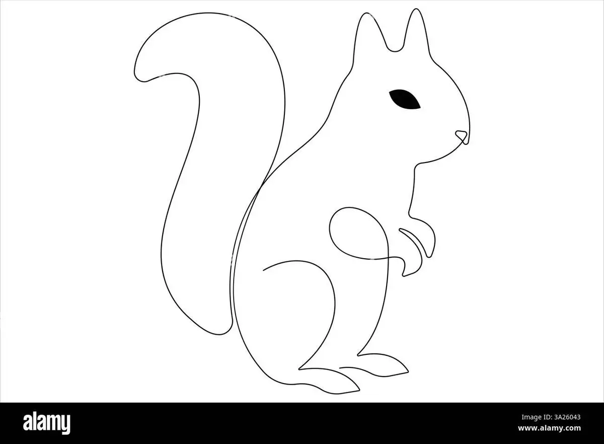 Cute Squirrel color page for kids