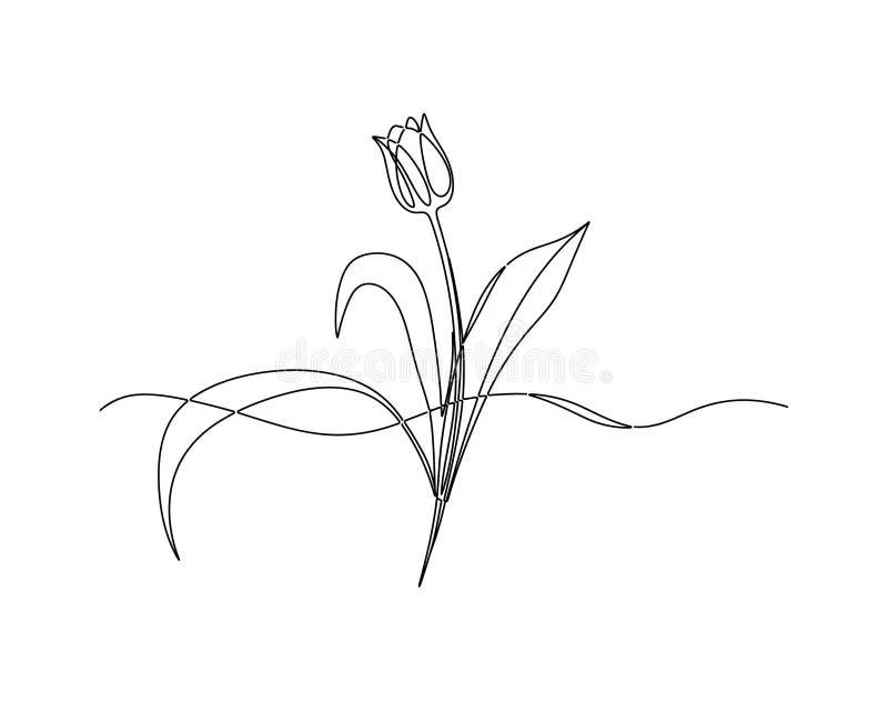 Free Tulip coloring sheet for kids