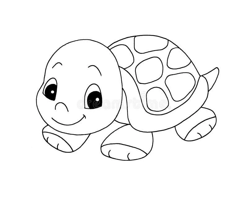 Turtle drawing page for kids